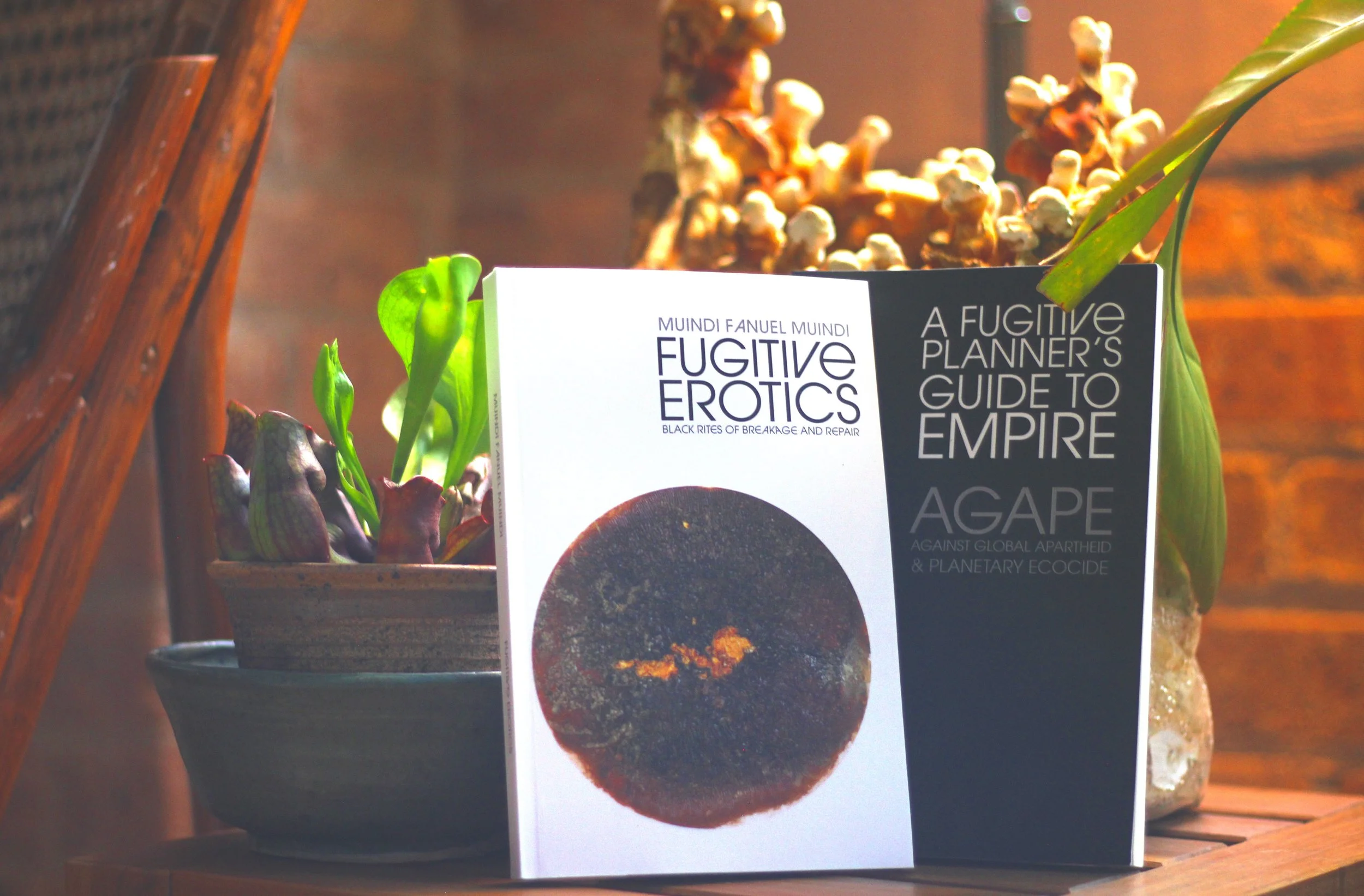 洋書 Eros e Agape Eros & Agape: A Queer Literary Novel of Power, Devotion, and